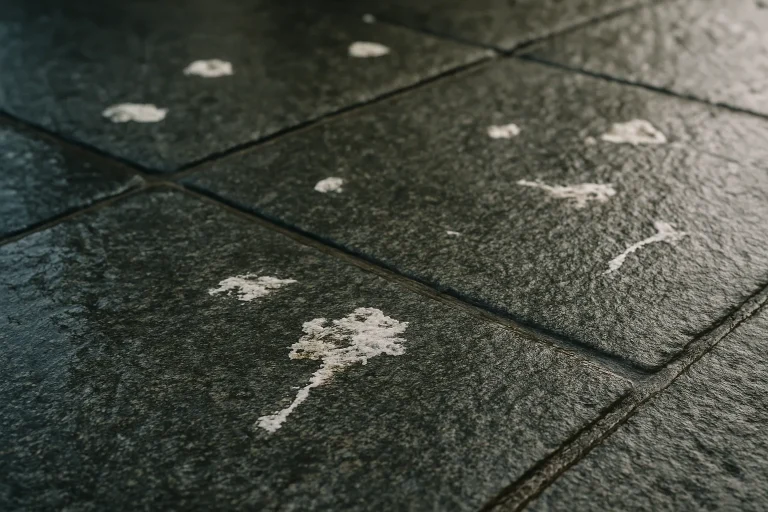 Gros plan sur une surface urbaine avec des fientes de pigeons, texture visible